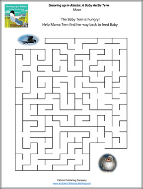 Maze activity