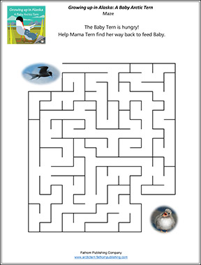 Maze activity