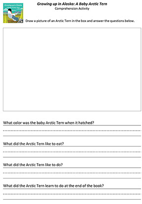 Comprehension Activity